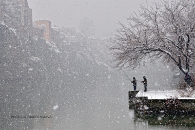 ვინ გადაიღო ქართველი ვარსკვლავების შვილების პირველი ახალი წელი Rating